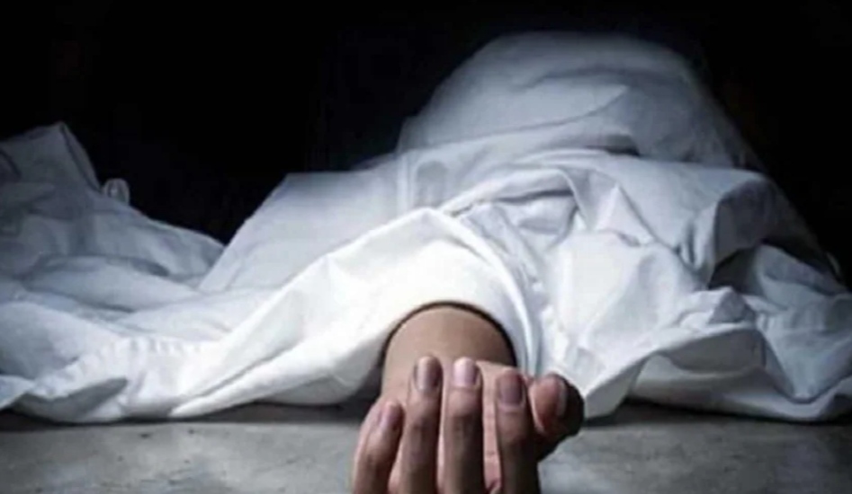 शादी से लौट रहे व्यक्ति को हाथी ने कुचला, मौत